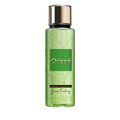 Chissá Green Feeling Eau Parfumée 250ml